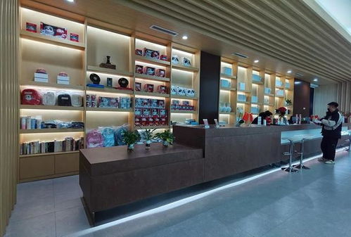 火上熱搜 冰墩墩賣光了 網友 求補貨