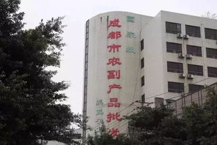 城市變遷的見(jiàn)證 五塊石客運(yùn)站再會(huì)，班線調(diào)遷與商品批發(fā)貿(mào)易新篇章