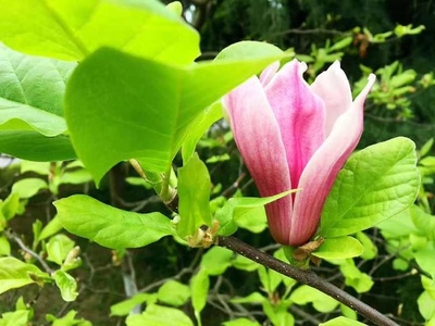 生意的本質(zhì) 生生不息，心上之意